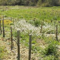 Photo de la ferme Pascal Pavie